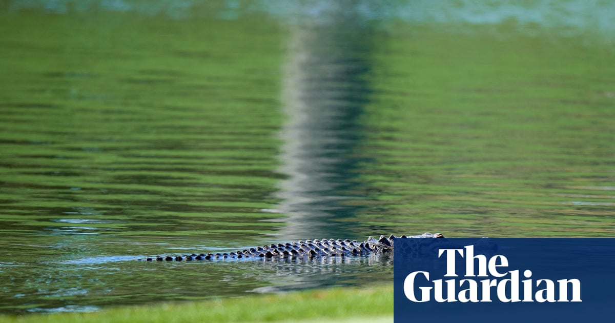 Florida man attacked by alligator after opening door.