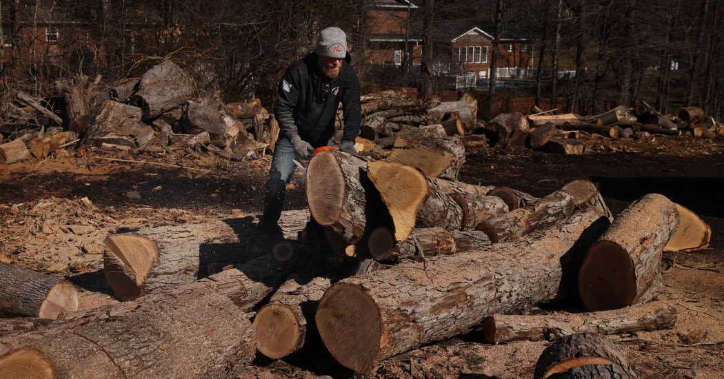 Winter’s Cold Sparks Firewood Boom Across the U.S.