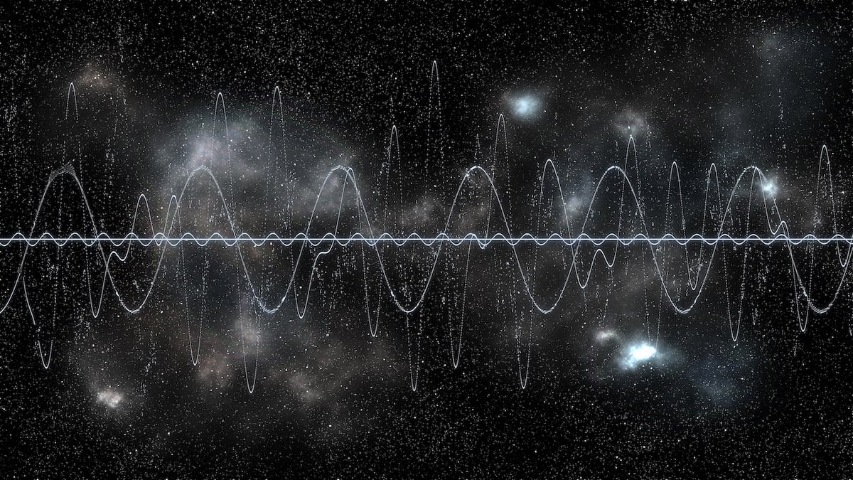 Featured image for Whale Communication: A Gateway to Alien Contact?