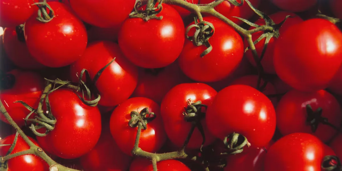 FDA Upgrades Tomato Recall to Highest Risk Due to Salmonella Threat