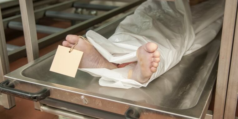 Featured image for "Universal Microbial Network Unveiled in Decomposing Corpses"