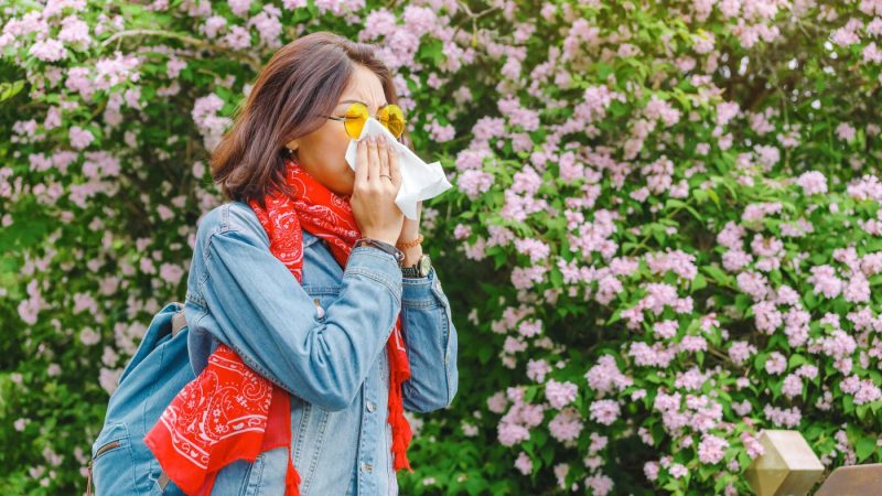 "Florida's Allergy Season: Understanding the Yellow Pollen Covering Cars"