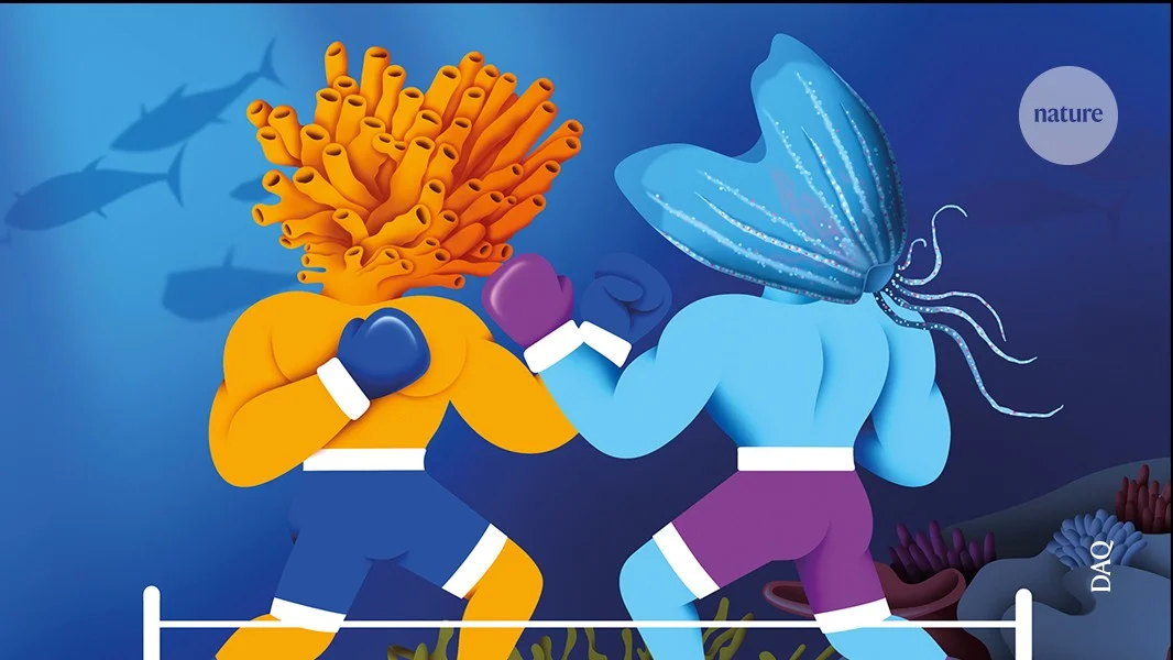 First animal origins: sponge vs comb jelly debate urged toward collaboration