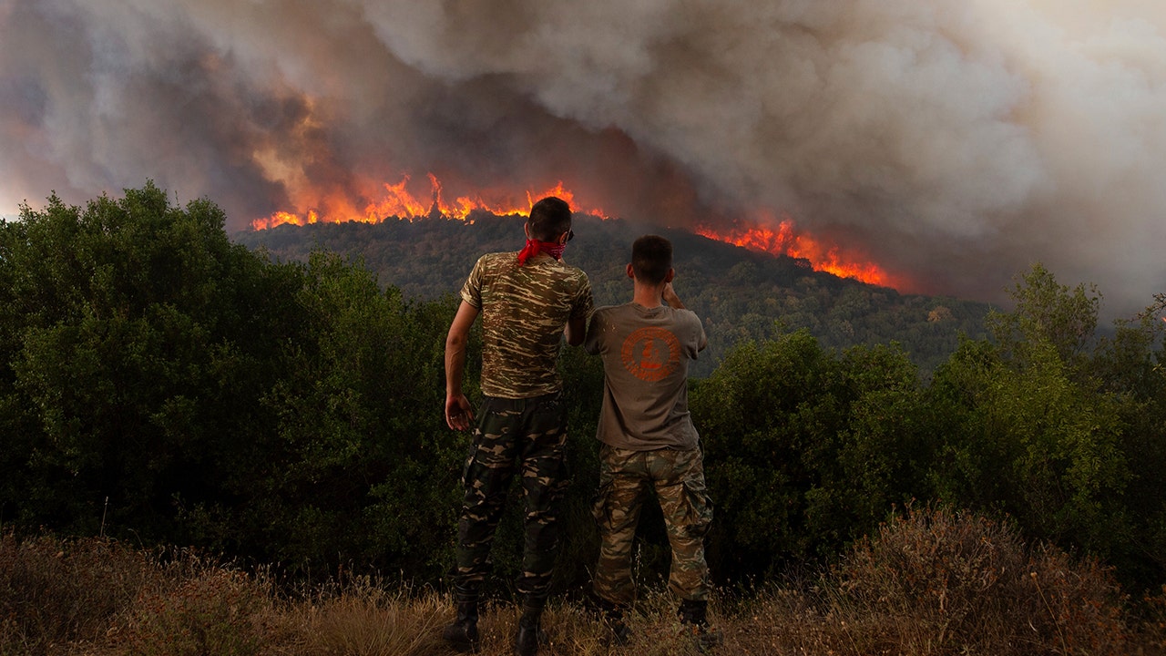 Massive Arrests Made in Greek Wildfire Arson Investigation