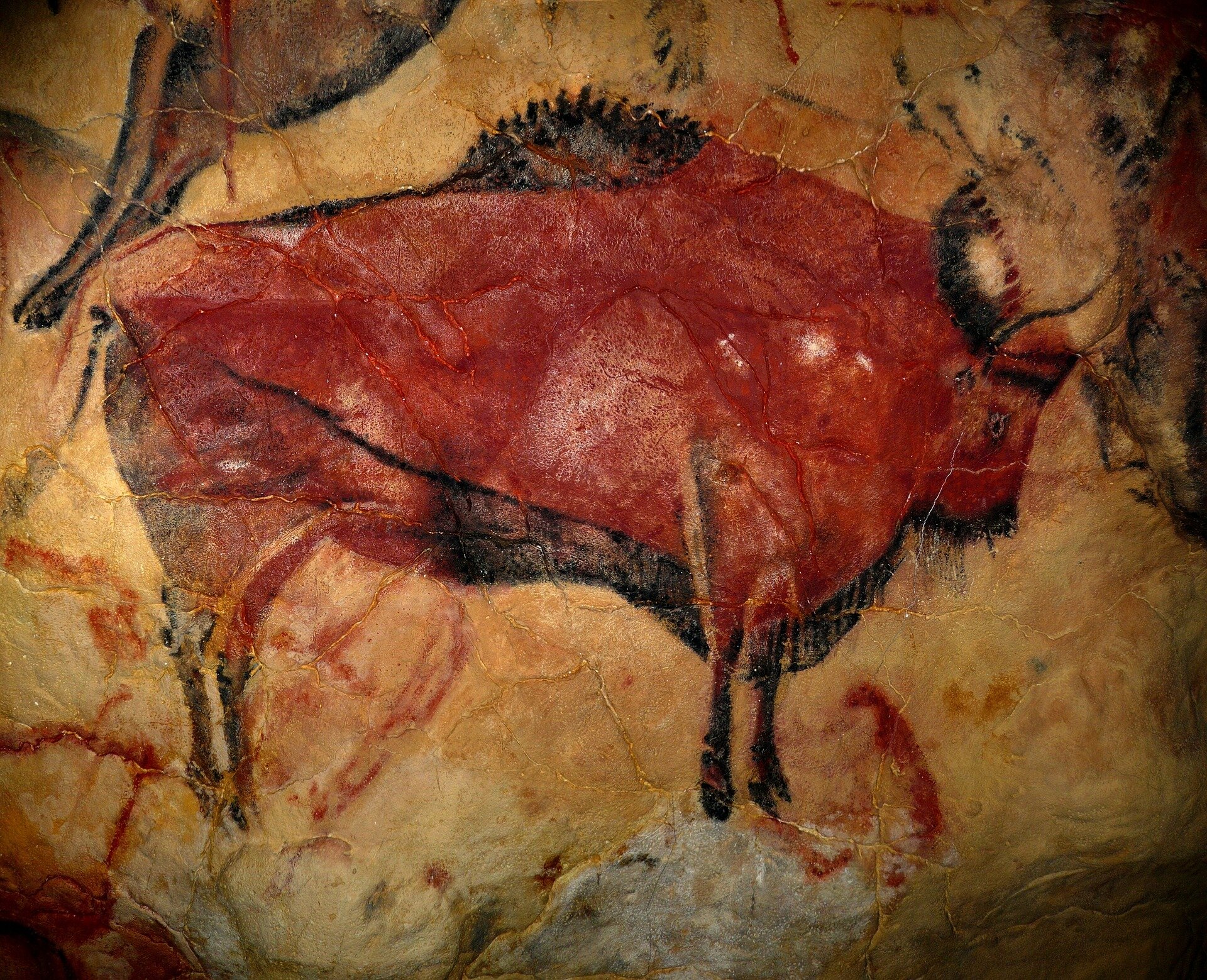 Featured image for Unearthing the Truth: Women as Prehistoric Hunters