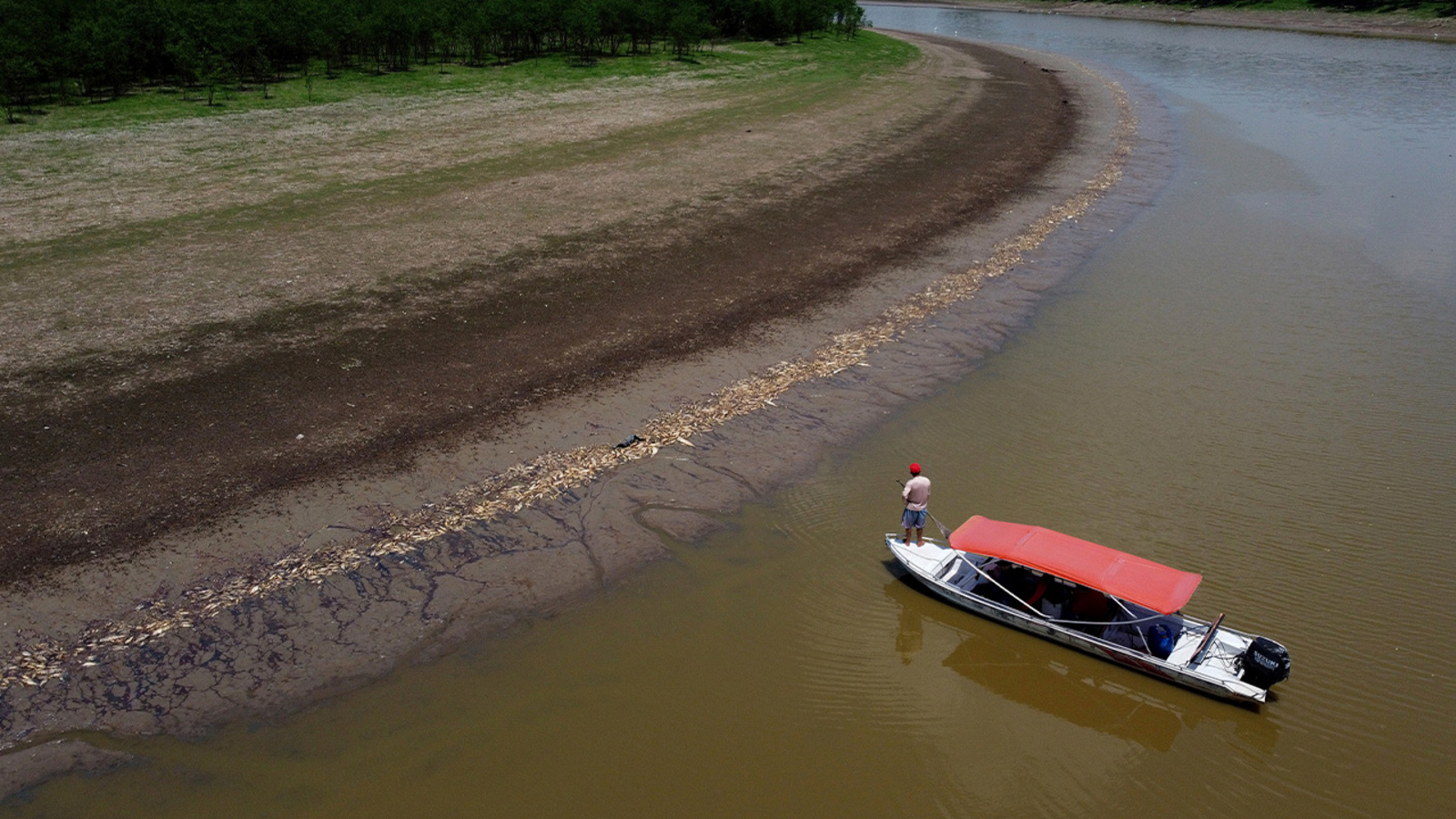 Featured image for "Severe drought and rising temperatures lead to mass death of dolphins in Brazilian Amazon"
