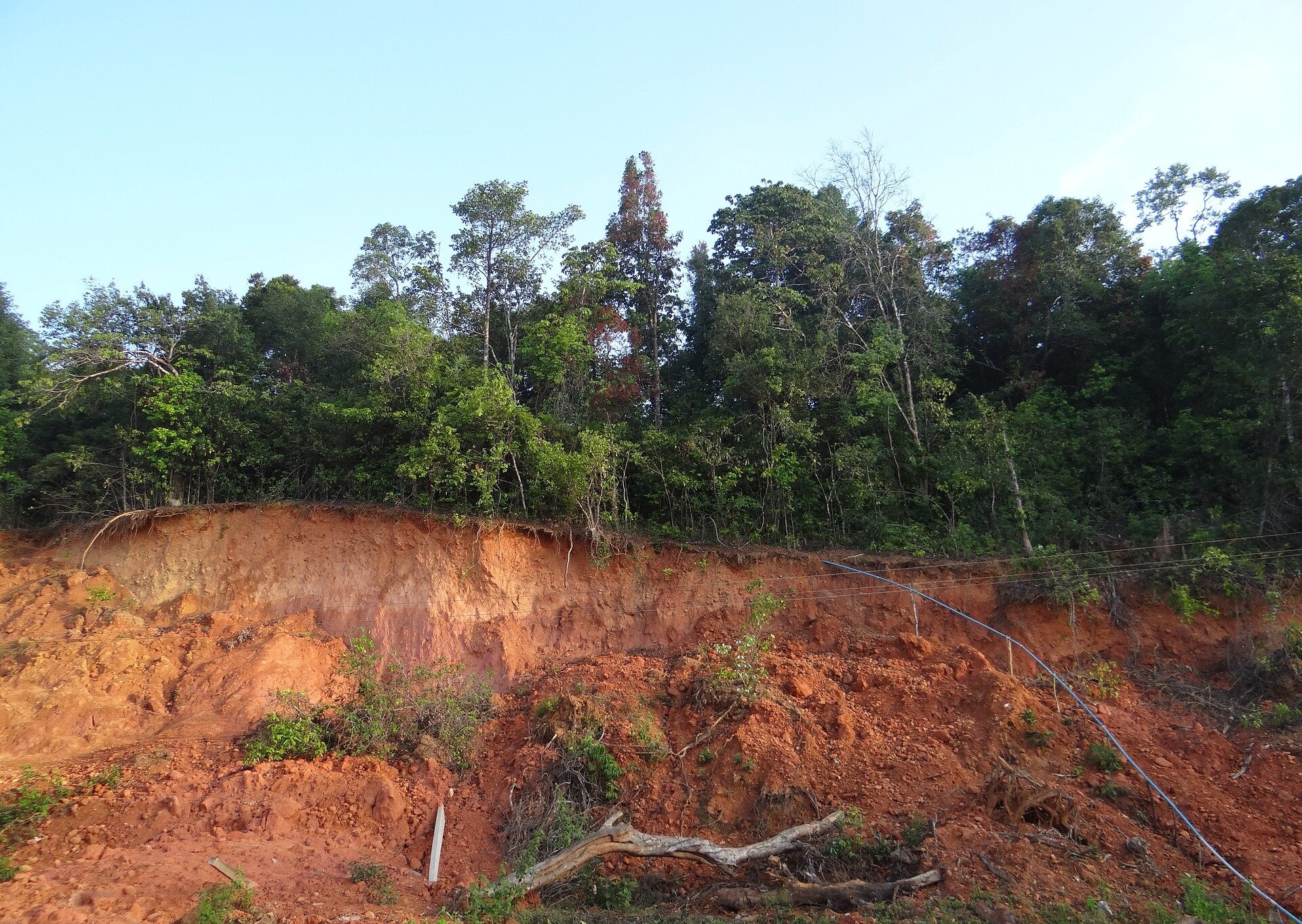"Study Reveals Red Soil Mineral's Long-Term Sequestration of Trace Metals"