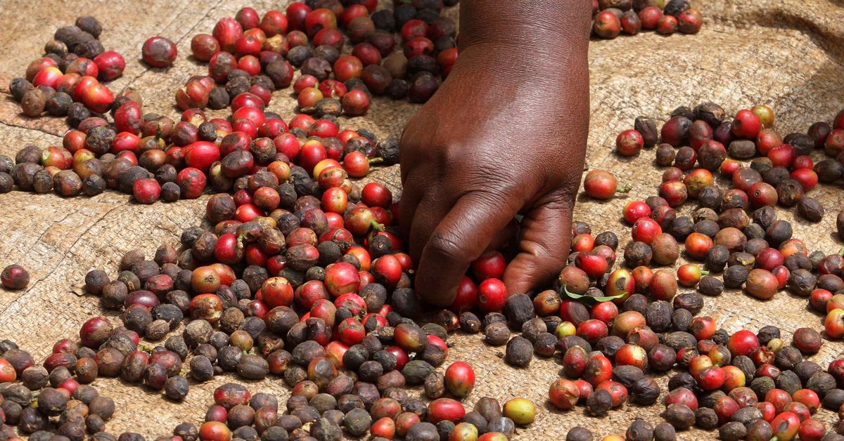 Kenya secures exports with EU trade deal, opens door for East Africa.