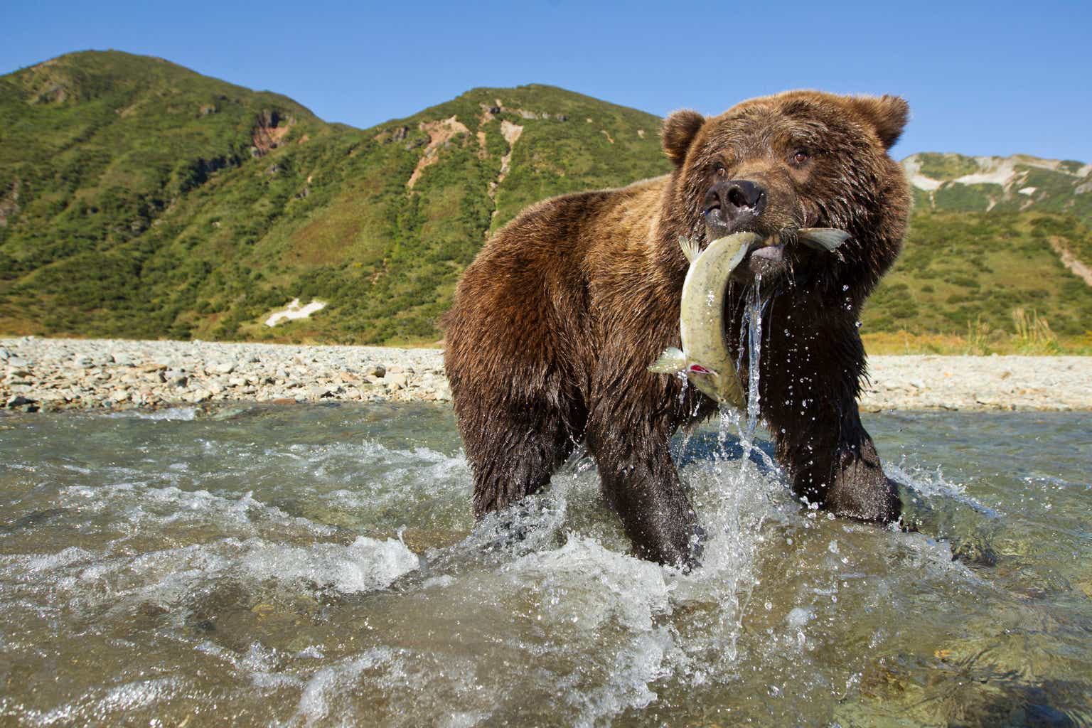 Featured image for S&P 500 2024 Forecast: Elliott Wave Analysis and Goldman Sachs Target