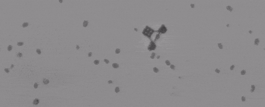 Featured image for "Micro Chariots Powered by Algae Unveiled by Scientists"