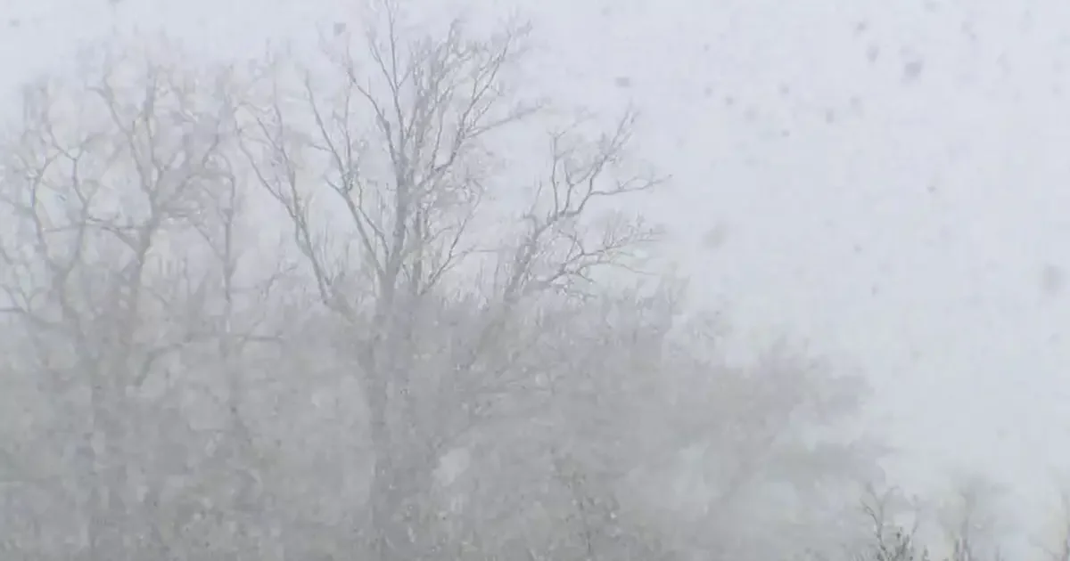 Southeast Michigan Buries Under 5–6 Inches as Snow Continues Friday