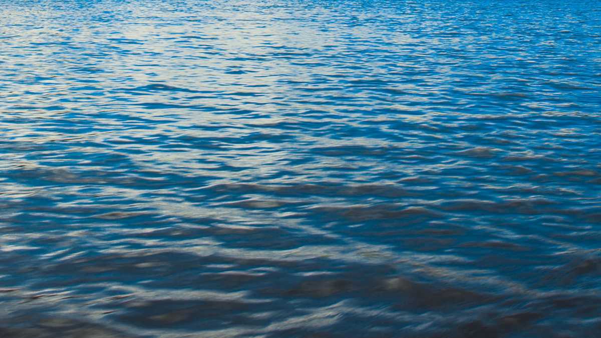 Tragic Deaths of Two Young Girls in Edisto River, South Carolina.