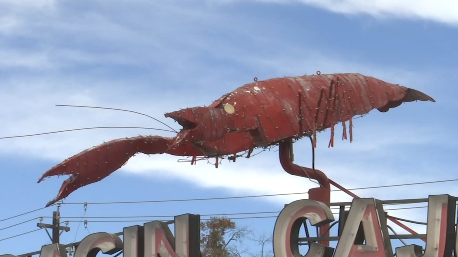 Featured image for "Crawfish Shortage Sparks Price Surge Across Southern States"