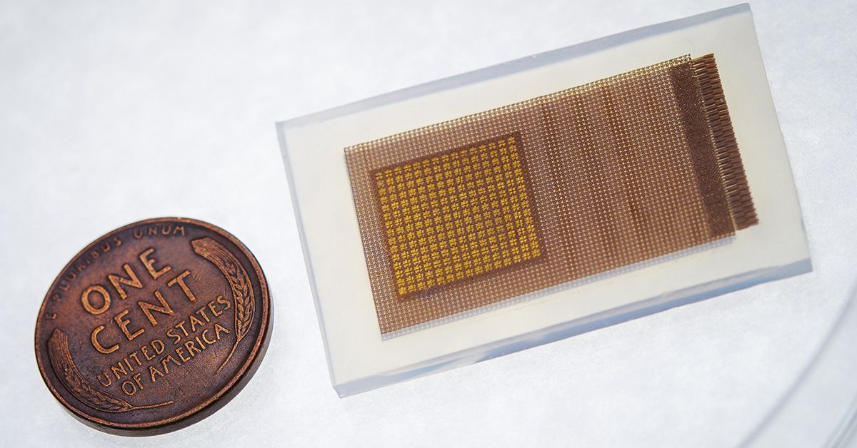 Featured image for "New Wearable Patch Offers Continuous Brain Blood Flow Monitoring"