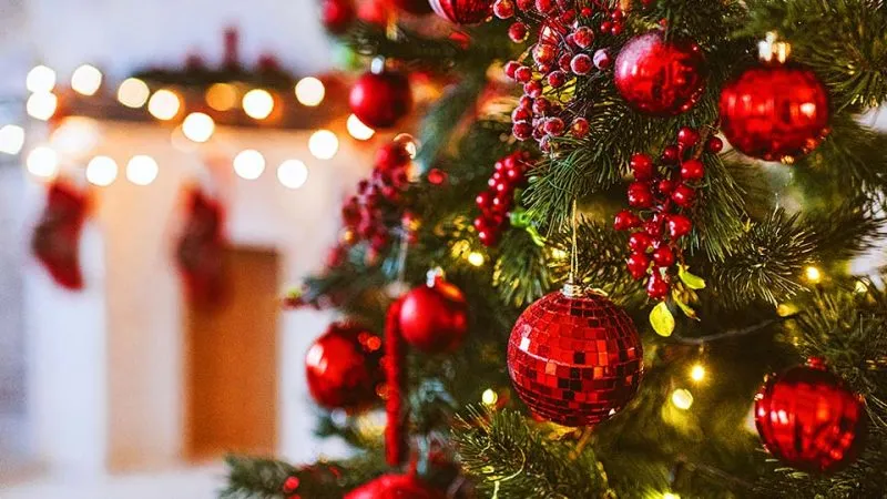 Featured image for FDA Recalls Holiday Sweets and Barks from Aldi Nationwide Before Christmas