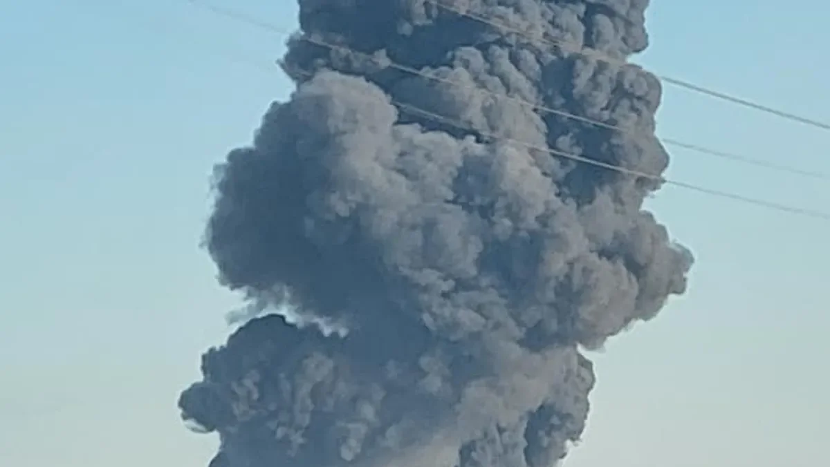 "Massive Explosion and Fire Wipes Out 18,000 Cows in Texas Dairy Farm"