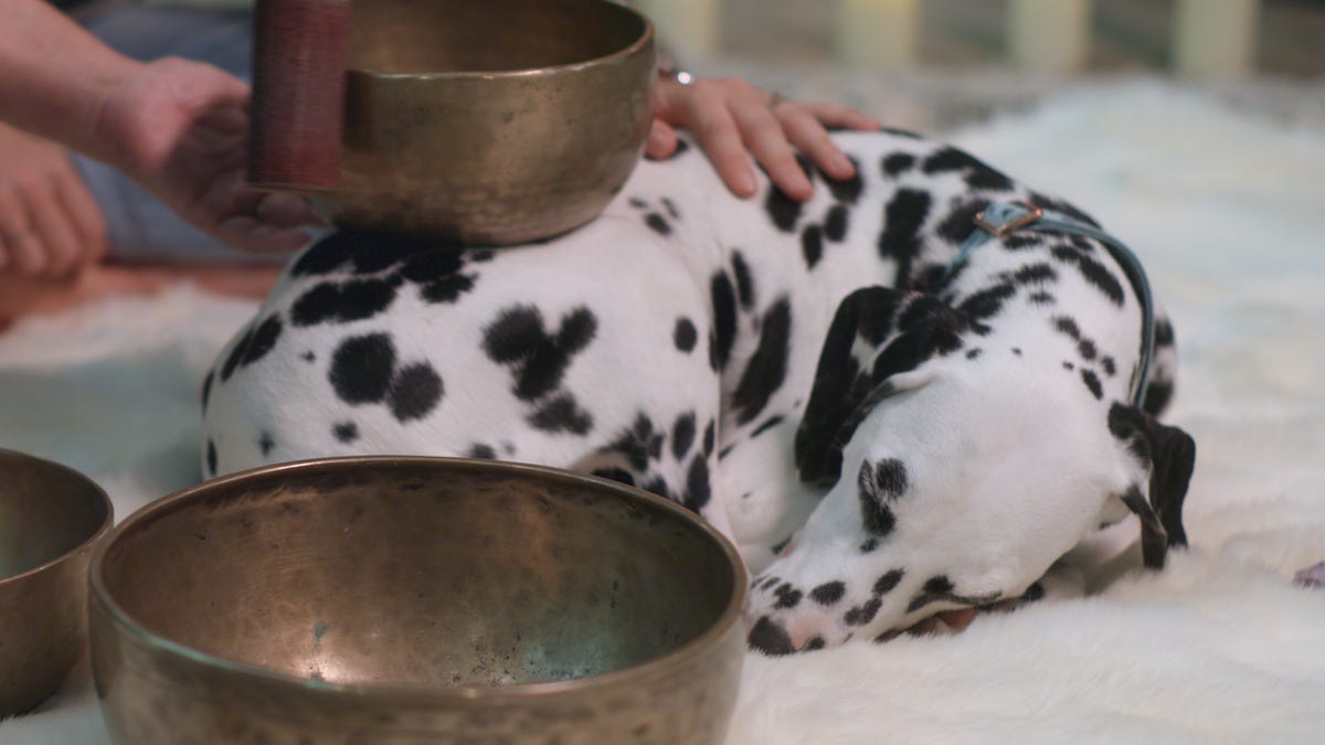"Exploring Sound Baths and Alternative Healing for Anxiety Relief"