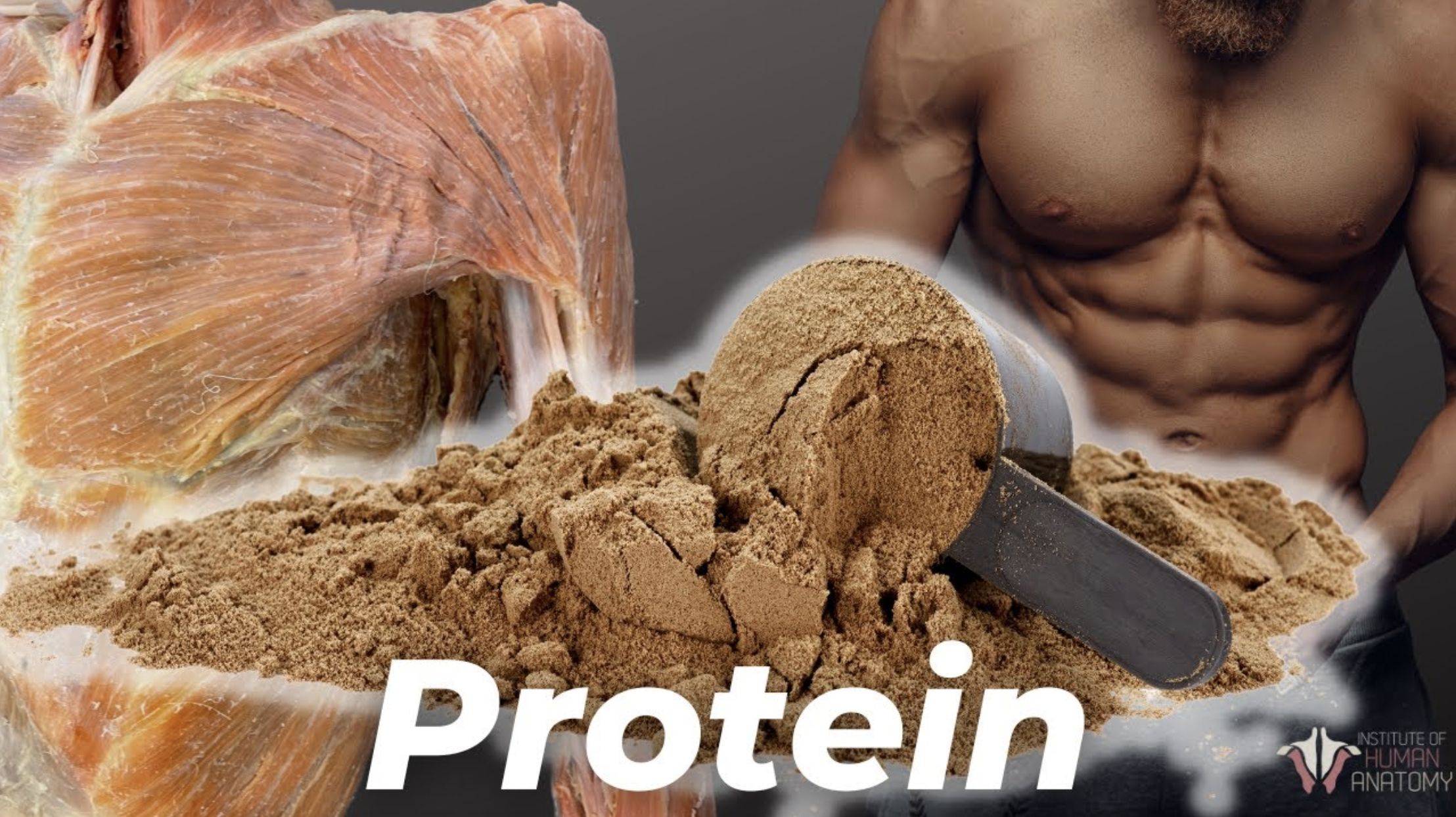 The Truth About Protein Intake and Health Risks.