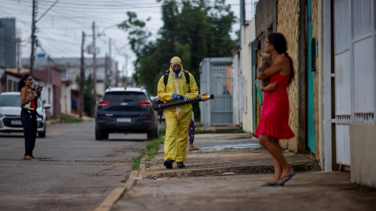 "Rising Dengue Cases in South America Prompt Large-Scale Vaccination Effort"