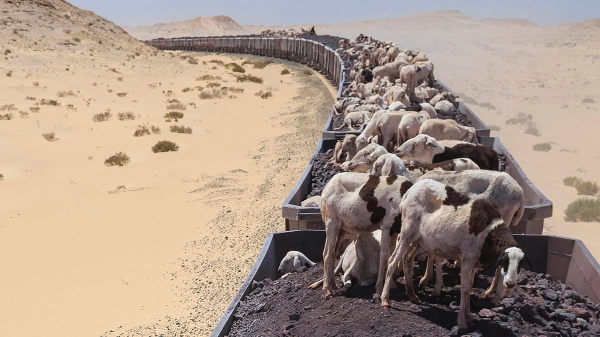 Featured image for "Exploring the Sahara Desert's Extreme Railway to an Iron Ore Mine"