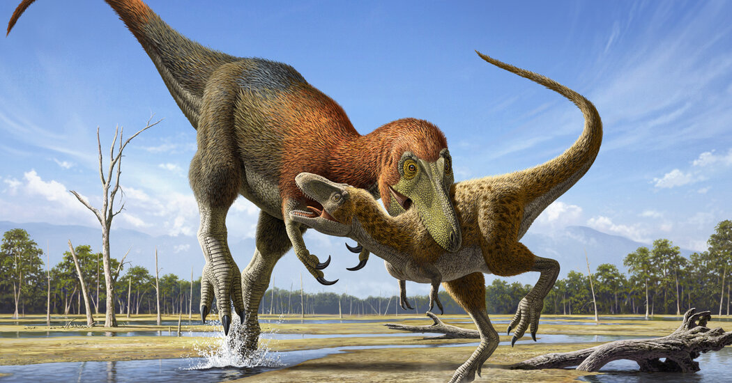 "Deciphering Dinosaur Debates: Are Tiny Tyrannosaurs a Distinct Species?"