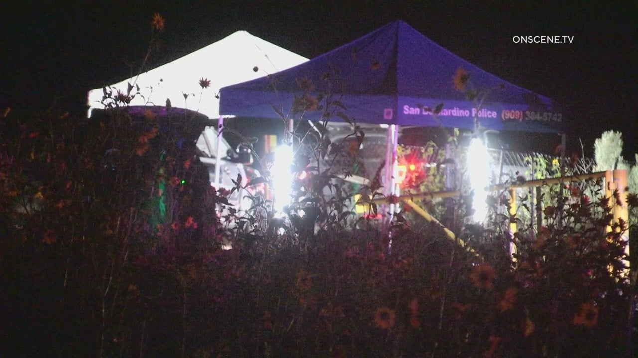 Featured image for "Search for Survivors: Small Plane Crash Near 215 Freeway in San Bernardino County"