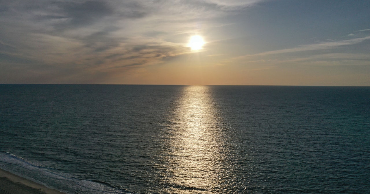 Featured image for Ocean Food Web in Crisis: Record Heat Threatens Ecosystem