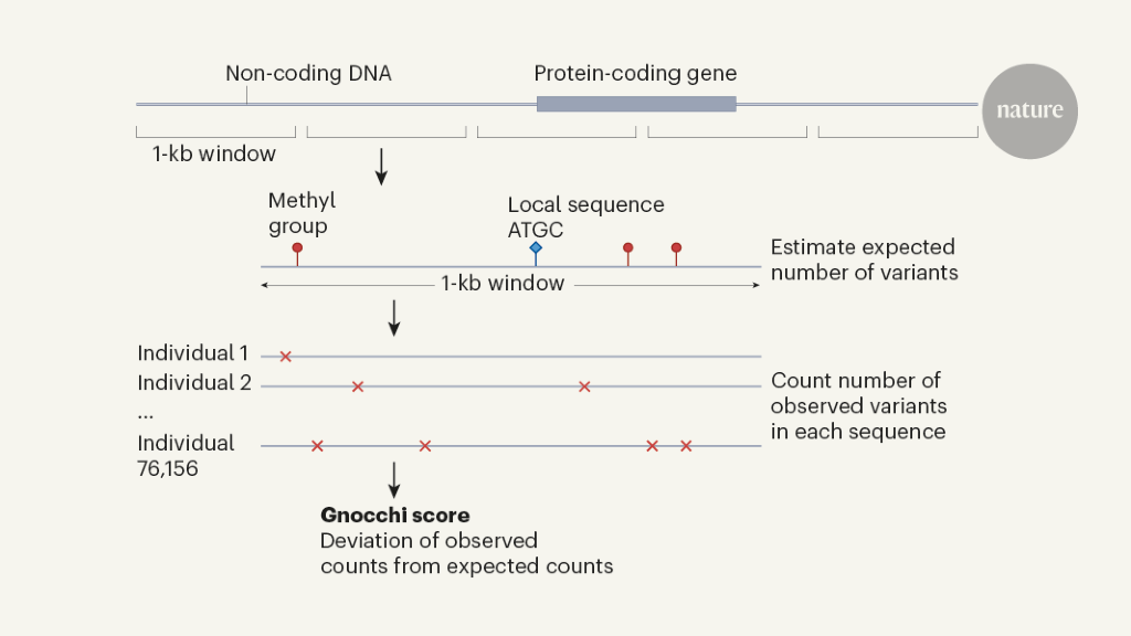 Advancing Disease Identification with an Expanded Genomic Database