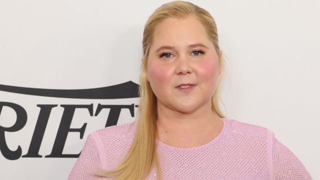 Featured image for Amy Schumer Deletes All Pre-Weight Loss Photos from Instagram