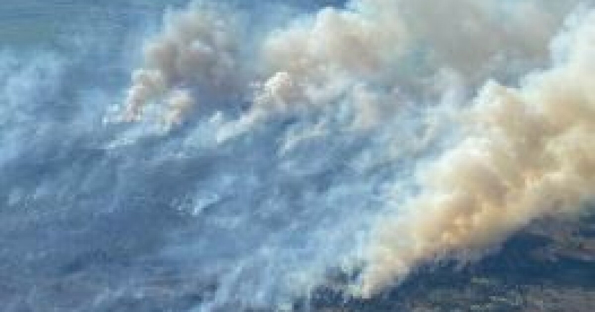 Featured image for Michigan Wildfire Near Grayling 85% Contained, Linked to Campfire.