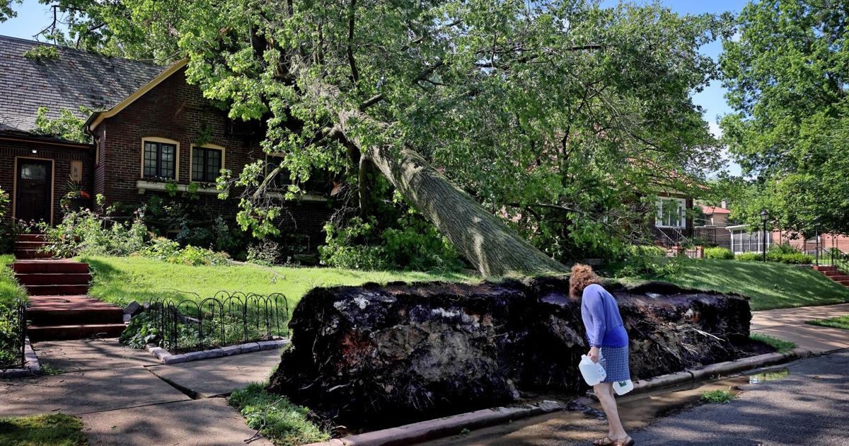 Featured image for Persistent Power Outages Plague St. Louis and Jacksonville, Frustrating Residents and Prompting Collaborative Efforts