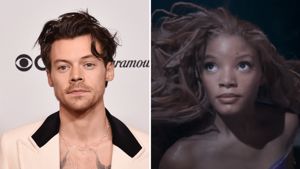 Harry Styles Rejects Disney Prince Role for Darker Films