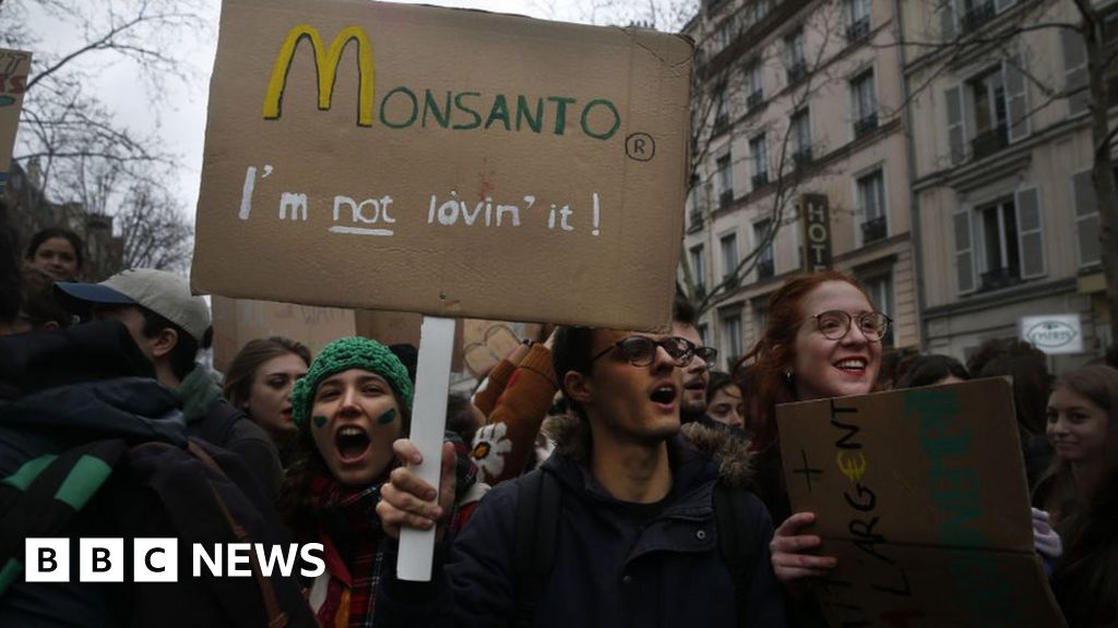 Featured image for Monsanto Ordered to Pay $857 Million for Toxic Leaks in PCB Case