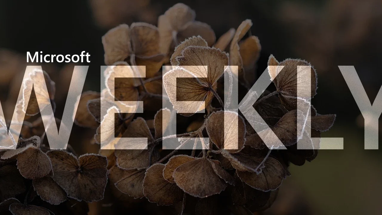 Microsoft Insists Windows 11 Update Isn't Damaging SSDs