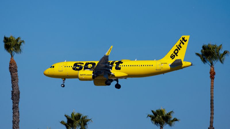 "Spirit Airlines' Stock Rebounds Despite Challenges and Merger Setback"