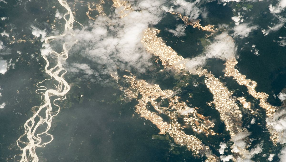 Featured image for Astronaut Captures Stunning Photo of Gold in Peru's Forest.