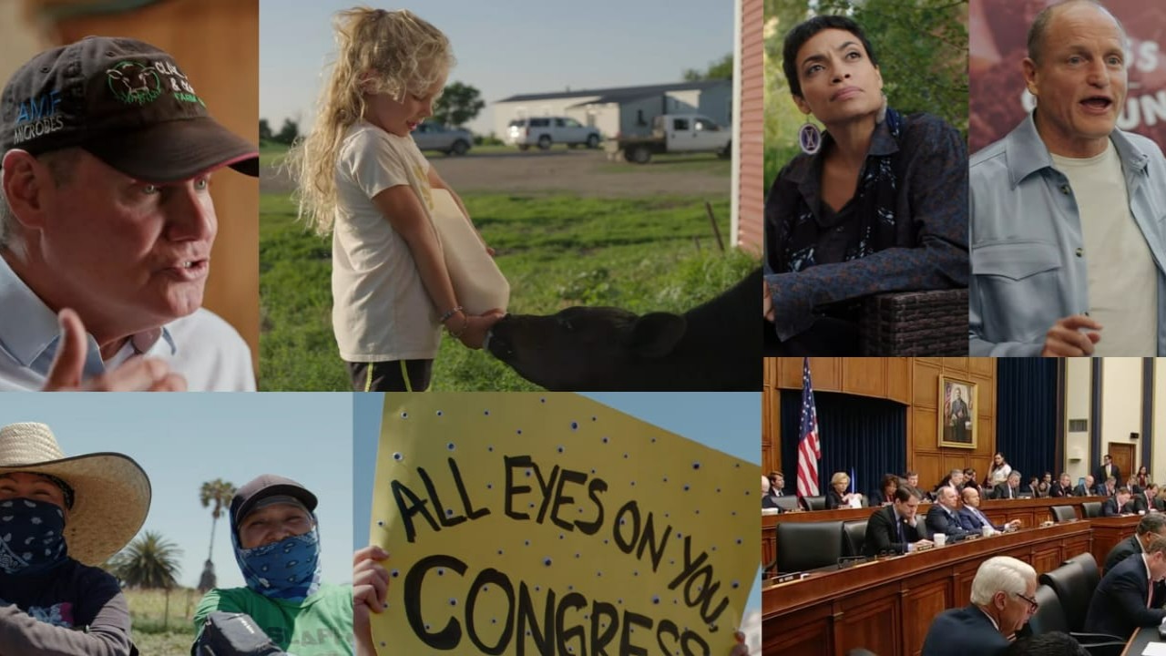 Featured image for "Common Ground: A Powerful Documentary Uniting Jason Momoa, Laura Dern, and Others in the Fight for a Regenerative Food System"