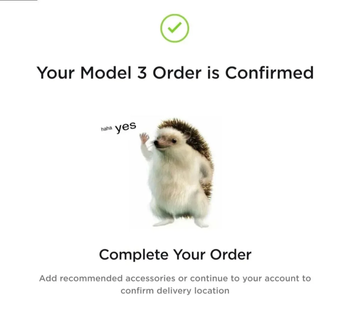 Hedgehog Memes, Mechazilla, and Robotaxi Prices: A Tesla–SpaceX Snapshot