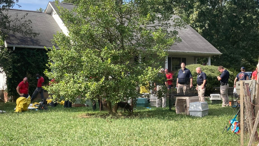 Featured image for Multiple Animal Hoarding Cases Lead to Arrests and Seizures in Walker County, Kentucky, and New Hampshire