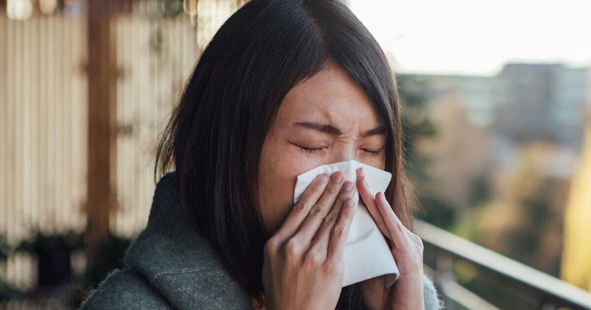 Featured image for "Decoding the Symptoms: Distinguishing Between Cold, Allergies, and Covid"