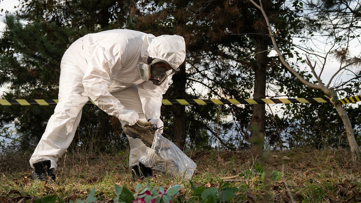 Featured image for "Uncovering the Microbial Secrets of Decomposing Corpses for Forensic Science"