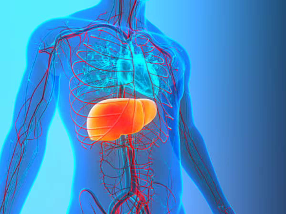 Featured image for Top 7 High-Protein Snacks to Reduce Inflammation