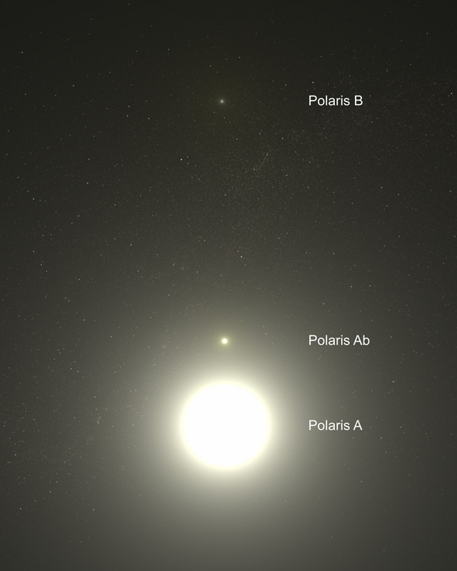 "Celestial Guide: Navigating the Circumpolar Constellations in February's Night Sky"