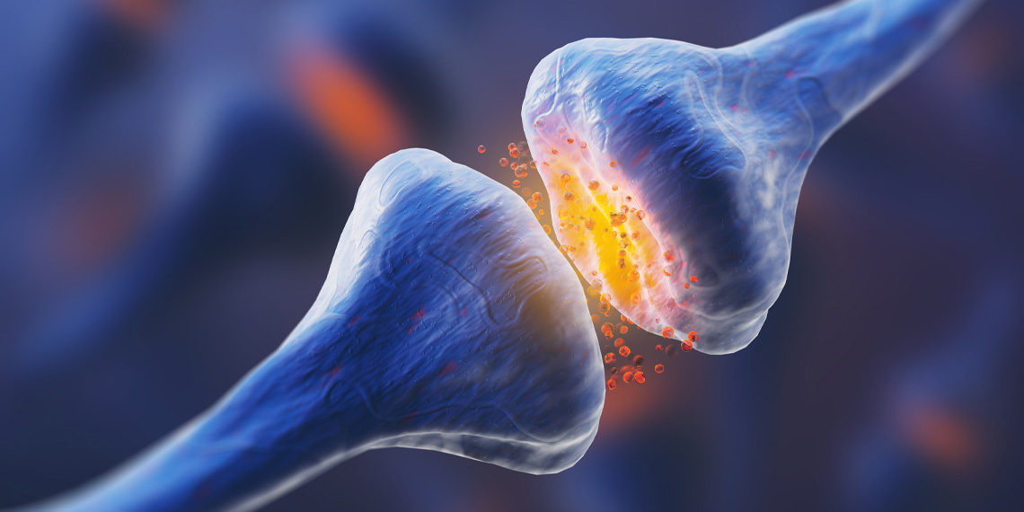 Featured image for Unveiling the Neural Roots of Cocaine Addiction