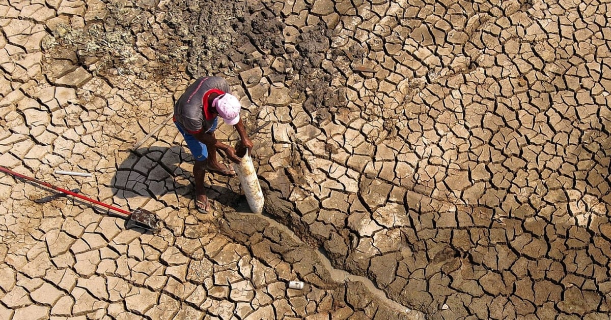 Amazon Rainforest Port Records Lowest Water Level in 121 Years, Disrupting Corn Shipping Amid Brazil's Climate Emergency