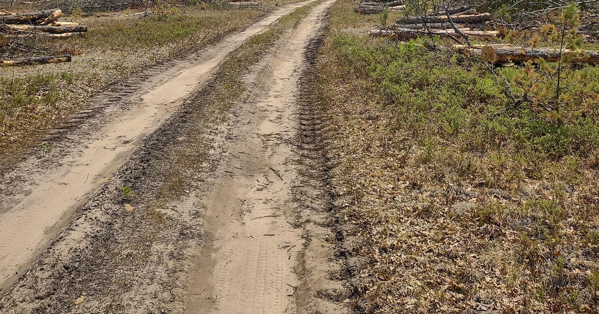 Wildfires Ravage Northern Michigan, Forcing Evacuations and Highway Closures