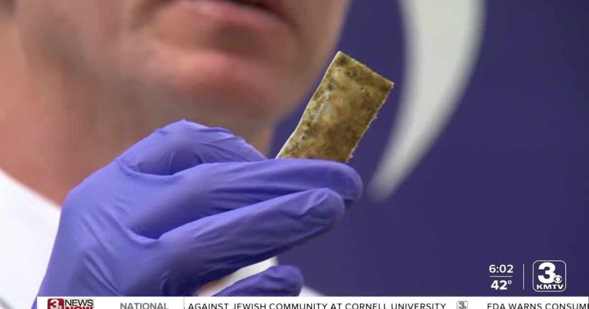 Featured image for Omaha Implements Innovative Oral Raccoon Rabies Vaccination Program