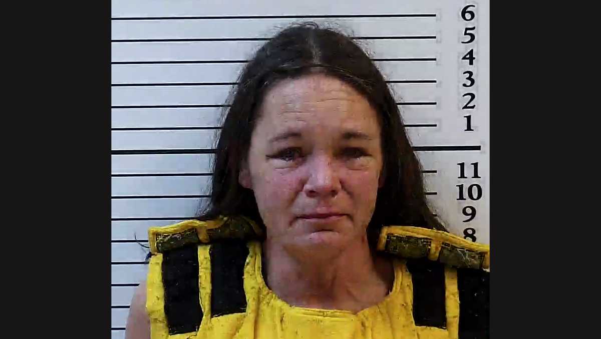"North Carolina Mother Charged in Deaths of 4-Year-Old Twin Sons"