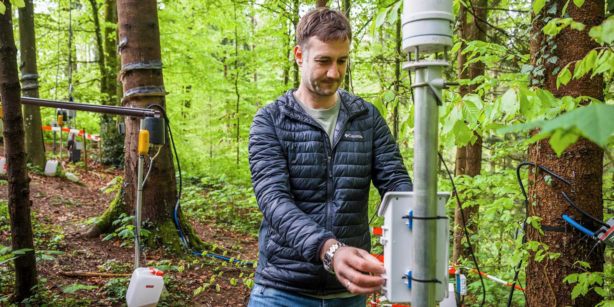 Featured image for Researchers Explore 'Old Water Paradox' in Forest Lab Study