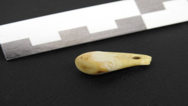 Featured image for Uncovering the Identity of the Wearer of a 20,000-Year-Old Pendant Through DNA Analysis